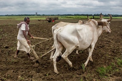 New crop insurance scheme on anvil: Centre