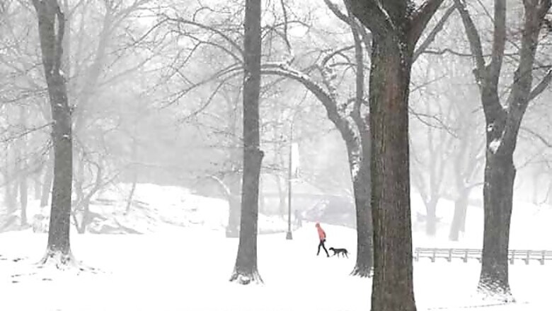 Winter storm slams northeastern US with Arctic punch