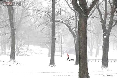 Winter storm slams northeastern US with Arctic punch