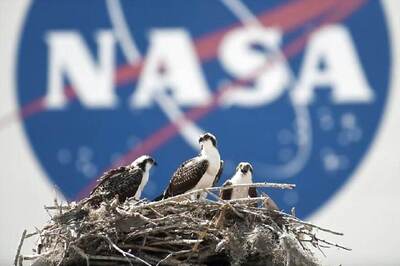 NASA Eyes 3D Printing Tech to Cut Cost of Powering Heavy Rocket