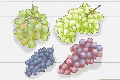 How to Grow Grapes from Seeds