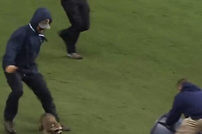 WATCH: 'Racoon On Field' Stops MLS Game Between Philadelphia Union and New York City