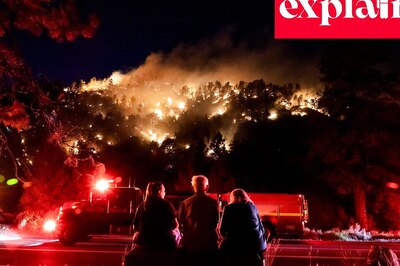 'Saving 30% of Earth by 2030': The Historic Cop-15 Biodiversity Deal Explained in 5 Points