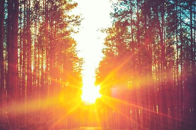 Aaj Ka Panchang, 8 May, 2024: Tithi, Vrat, and Today’s Shubh, Ashubh Muhurat