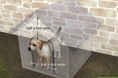 How to Build a Simple Dog House