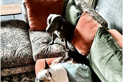 Samantha Ruth Prabhu Posts Adorable Pic With Her Dogs, Says 'Don't Worry Mommy...' Amid Trolling