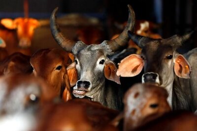Government to implement high court order on beef sale: Deputy CM Nirmal Singh