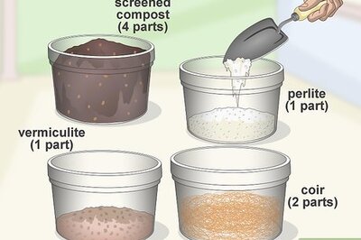 How to Make Your Own Seed Starting Mix