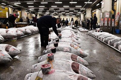 Tokyo's Tsukiji Fish Market Holds Last New Year Auction Before Closure