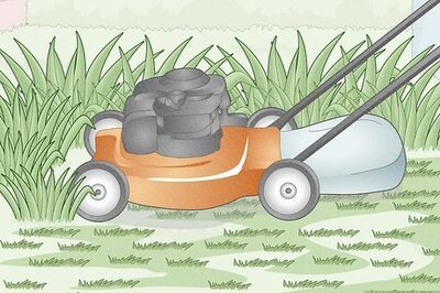 How to Get Rid of Mosquitoes in Your Yard