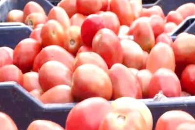 Karnataka Tomato Farmers See Red As Exports, Prices Plummet Amid Bangladesh Crisis