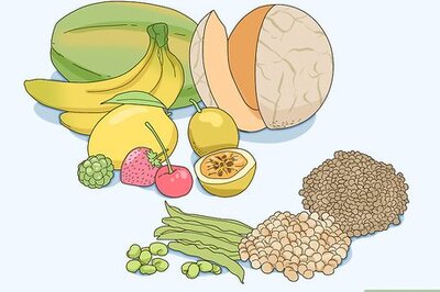 How to Feed an Eclectus