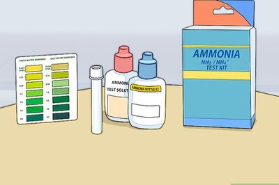 How to Lower Ammonia Levels in Your Fish Tank