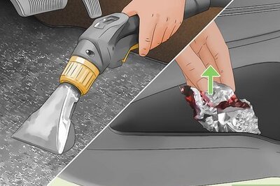 10 Simple Ways to Rid Your Vehicle of Roaches