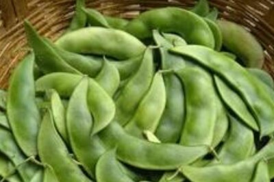Why Including Hyacinth Beans In Your Diet Is a Gamechanger