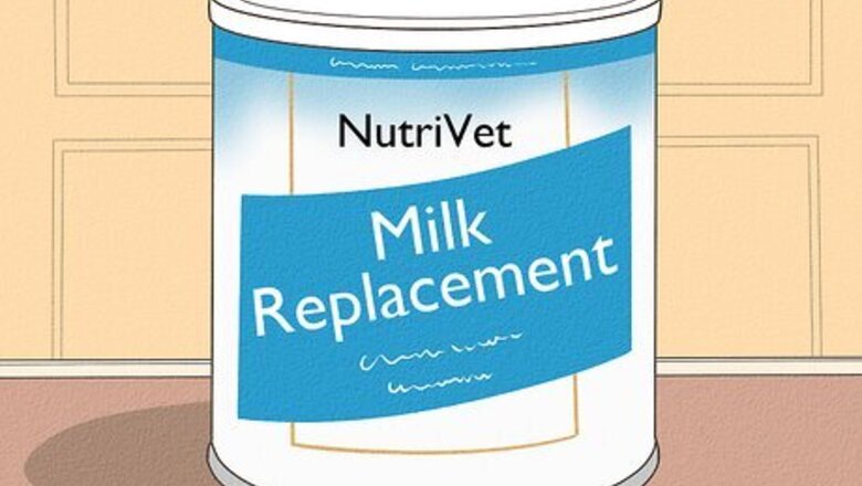 How to Feed a Baby Kitten Without a Mother