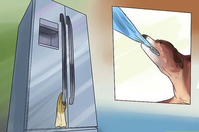 How to Teach Your Dog to Get a Beer