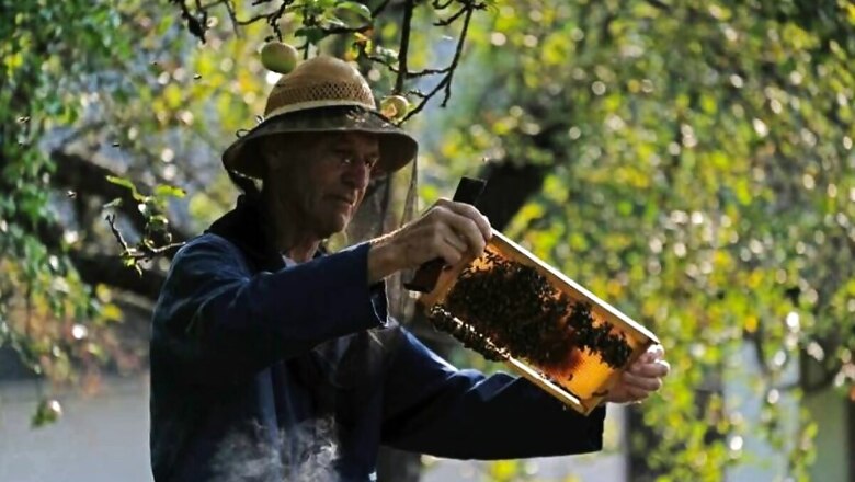 Slovenia's Beekeeping Tradition Gets UN World Heritage Status