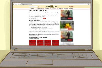 How to Grow Healthy Seedlings