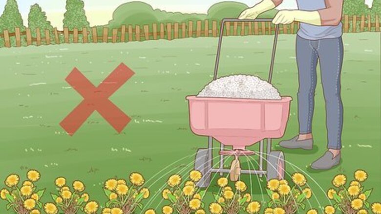 How to Save Bees from Extinction
