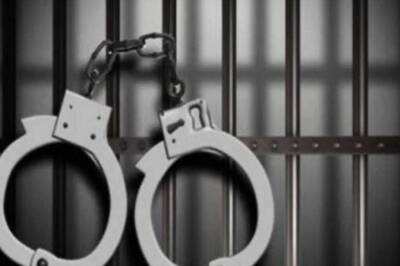 Goa: 37 Held for Mobile Phone Thefts During New Year Celebrations; 90 Handsets Worth Rs 1.5cr Recovered