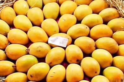 Mango exports may jump up to 50 pc next fiscal, says Agriculture Minister