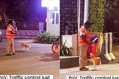 Viral Video of Busy Traffic Cop Managing Streets with His Furry Friend Is Too Cute To Watch