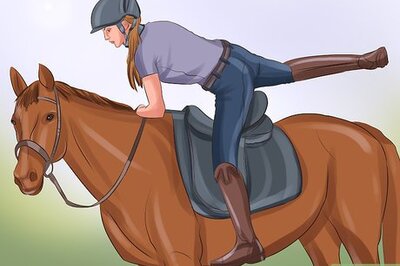 How to React when Your Horse Rears