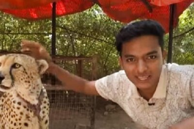Youtuber Dr Bro Celebrates Leopard's Birthday, Shares Hilarious Video