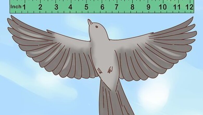 How to Identify a Mockingbird