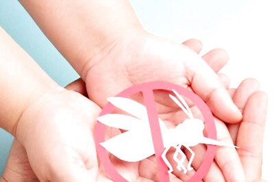 Dengue Fever: Symptoms and Prevention