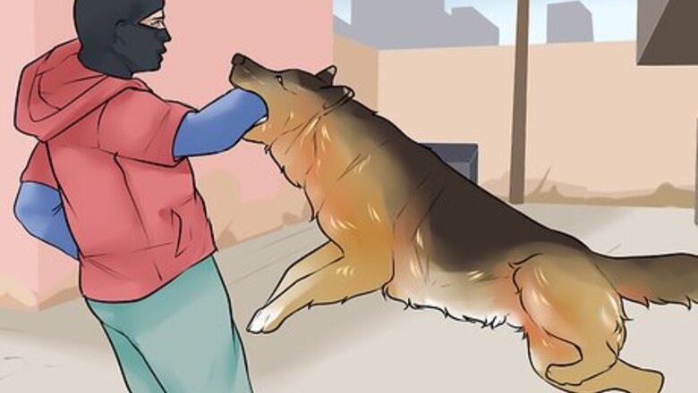 How to Choose the Right Dog Breed to Protect Your Home
