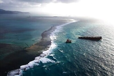 Mauritius oil clean-up team turns focus from sea to mangroves