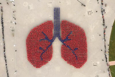 Air Pollution Ups The Risk Of Chronic Sinus Problems