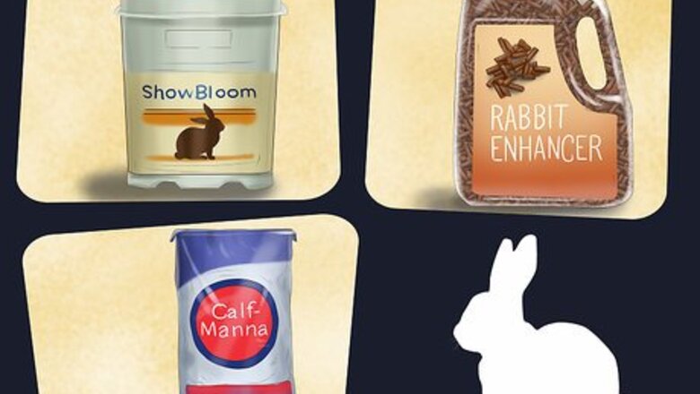 How to Condition a Rabbit for a Show