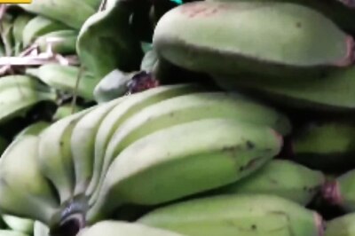 Prices Of Sirumalai Bananas Rise Due To Adverse Weather In Tamil Nadu's Dindigul