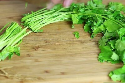 How to Keep Cilantro Fresh