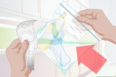 How to Deter a Dog from Misbehaving Using a Water Gun