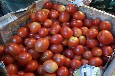 Rattled by High Tomato Prices, Centre Asks Mother Dairy to Sell Tomato Puree in Delhi Instead
