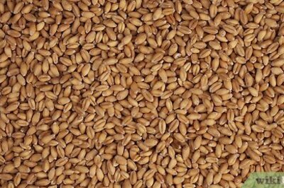 How to Cook Farro