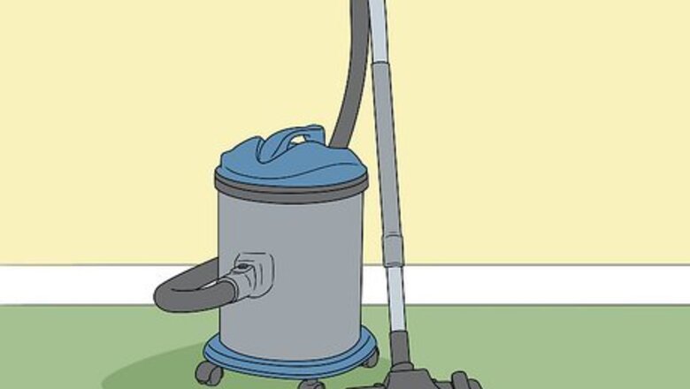 How to Do Pest Control With a Vacuum Cleaner
