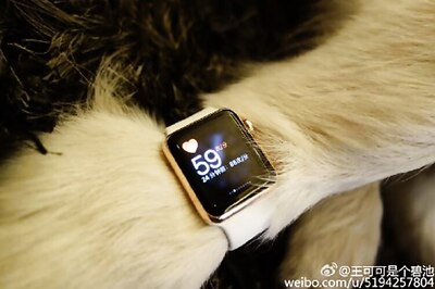 Photos: China's richest man's son gifts 2 gold Apple watches to his pet dog