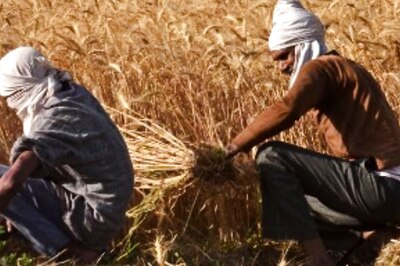 Every Day, 15 Farmers Died By Suicide in India in 2021; Biggest Spike in 5 Years: Govt Data