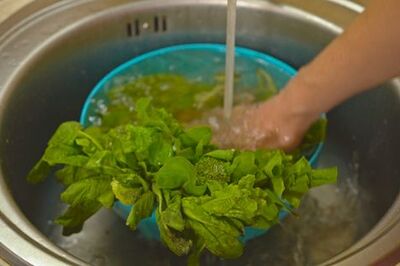 How to Clean Broccoli Rabe
