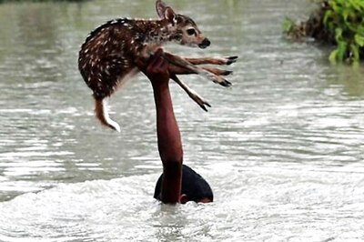 Assam Govt Left Red Faced as Bangladesh Pic Included in Flood Report