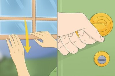 How to Find and Capture a Loose Lizard in Your Home
