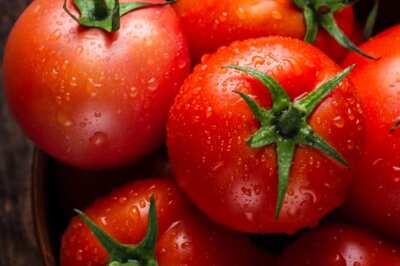 Ripe Rewards: Telangana Farmer Strikes Gold Amid Soaring Tomato Prices, Earns Rs 1.8 Cr in A Month