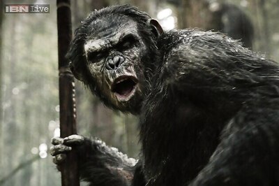 This human watch 'Dawn of the Planet of the Apes'. She like very much Caesar ape. Here's why