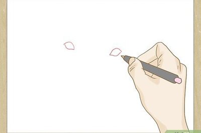 How to Draw a Pitbull