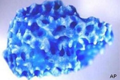 Indian-American new director of US science body